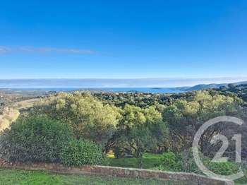Vente maison 11 pièces Porto-Vecchio 2A