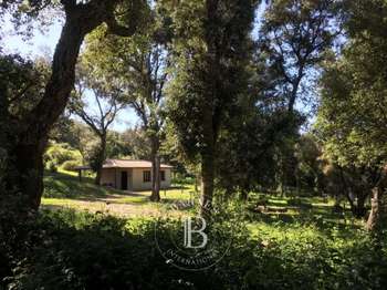 Vente maison 5 pièces Porto-Vecchio 2A