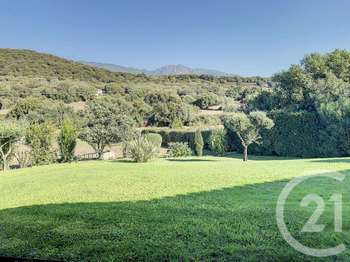 Vente Maison 7 chambresPorto-Vecchio