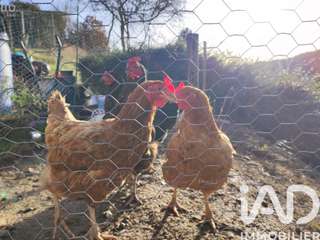 Vente maison 7 pièces