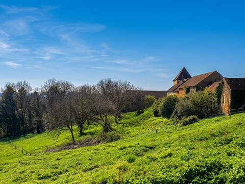 Vente maison 12 pièces Proissans 24