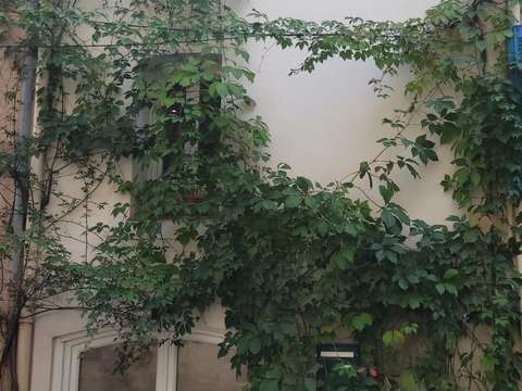 Vente maison 4 pièces Puget-Ville 83