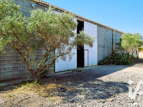 Vente maison 1 pièce Puissalicon 34