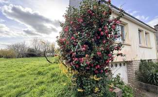 Photo Vente maison Querrien