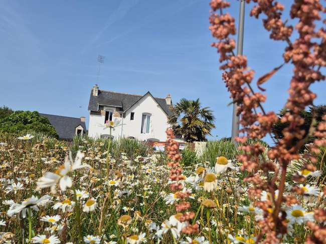 Maison 5 pièces 118 m² · à Quiberon · 118 m² · 398 000 €