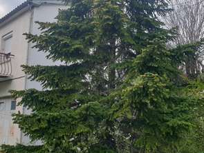 Vente Maison 2 chambresQuillan