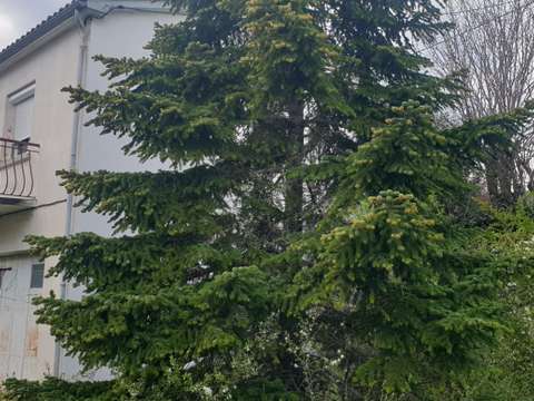 Vente maison 4 pièces Quillan 11
