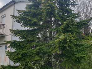 Vente Maison 2 chambresQuillan