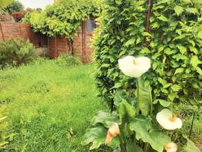 Vente Maison 4 chambresQuimper