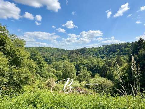 Vente maison 11 pièces Quimperlé 29