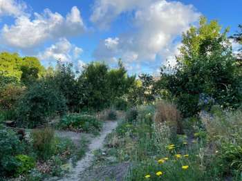 Vente Maison 1 chambreRegnéville-sur-Mer
