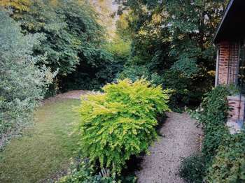 Vente maison Vente maison