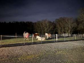 Vente Maison 10 piècesRequeil