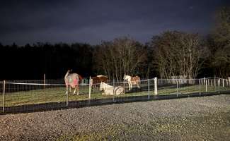 Photo Vente maison Requeil