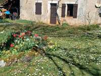 Vente maison 2 pièces Vente maison 2 pièces