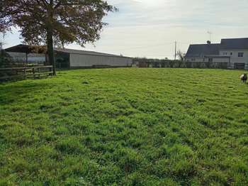 Vente Maison 3 chambresRiaillé