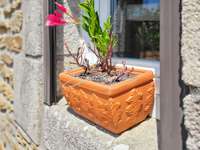 Vente maison 11 pièces