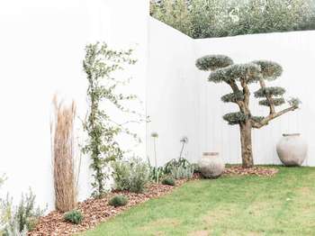 Vente Maison 5 chambresRivedoux-Plage