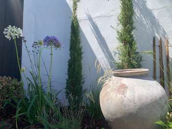 Vente maison 5 pièces Rivedoux-Plage 17