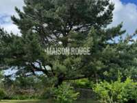 Vente maison 15 pièces Vente maison 15 pièces