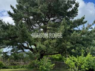Vente maison 15 pièces