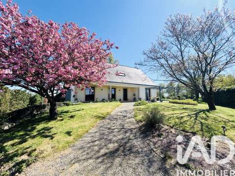 Vente maison 8 pièces Rougé 44