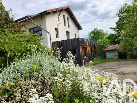 Vente maison 13 pièces