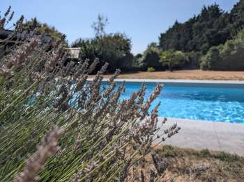 Vente maison 7 pièces Ruffiac 56