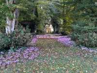 Vente maison 20 pièces