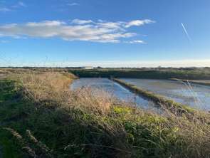 Vente Maison 4 chambresSaille