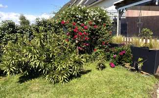 Photo Vente maison Saille