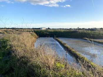 Vente Maison 4 chambresSaille