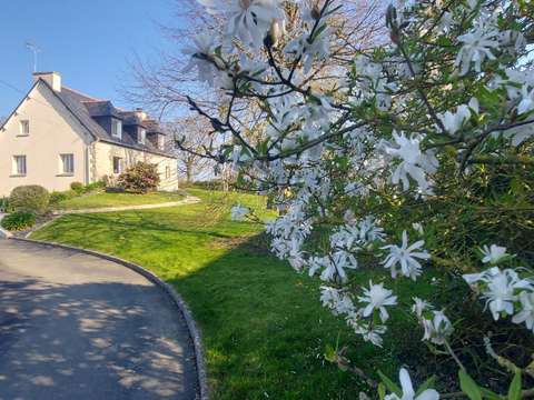 Vente maison 6 pièces Saint-Alban 22
