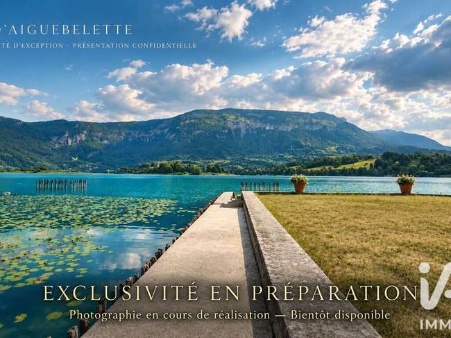 Maison 16 pièces 765 m² · à Saint-Alban-de-Montbel · 765 m² · 4 800 000 €