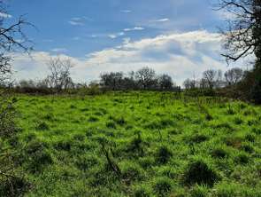 Vente Maison 2 chambresSaint-Amand-sur-Sèvre