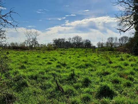 Vente maison 3 pièces Saint-Amand-sur-Sèvre 79