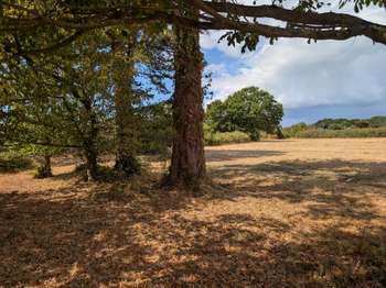 Vente Maison 5 chambresSaint-Armel