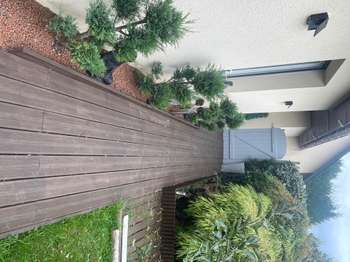 Vente Maison 3 chambresSaint-Arnoult