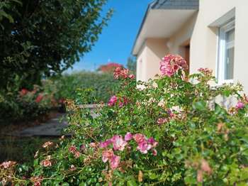 Vente Maison 5 chambresSaint-Avé