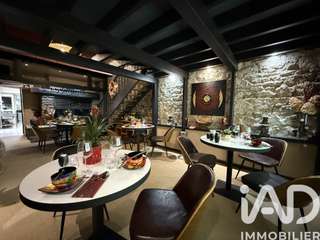 Vente maison 13 pièces