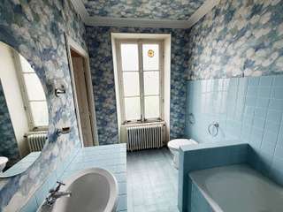 Vente maison 10 pièces