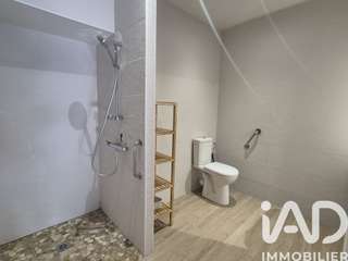 Vente maison 11 pièces