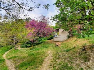 Vente maison 15 pièces