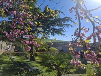 Vente maison 6 pièces Saint-Crespin-sur-Moine 49