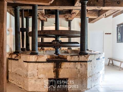 Vente maison 14 pièces Saint-Denis-d'Orques 72