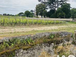 Vente Maison 2 chambresSaint-Émilion