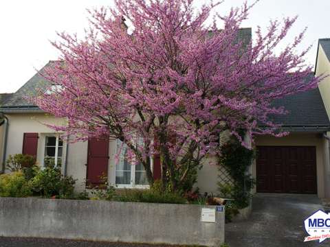 Vente maison 5 pièces Saint-Florent-le-Vieil 49
