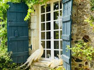 Vente maison 12 pièces