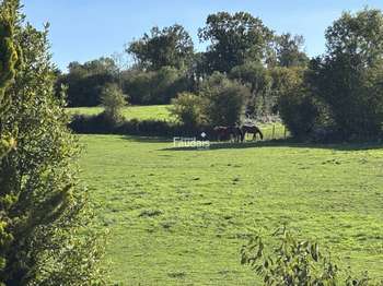 Vente Maison 4 chambresSaint-Georges-d'Elle