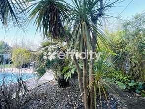 Vente Maison 6 chambresSaint-Georges-d'Oléron